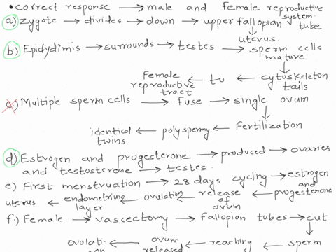 question-12-comolete-identify-all-comect-responses-descrbing-the-male-and-female-reproductive-systems-50-points-out-of-300-select-one-or-more-the-zygote-fertilized-egg-divides-as-moves-down-52624