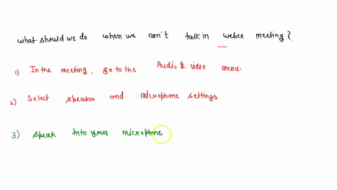 what-should-we-do-when-we-cant-talk-in-webex-meeting-58388