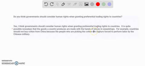 do-you-think-governments-should-consider-human-rights-when-granting-preferential-trading-rights-to-countries-54068