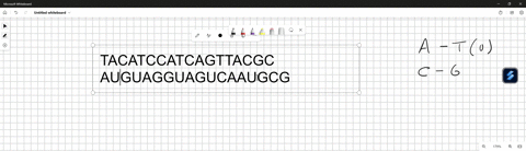 tacatccatcagttacgc-a-guanine-replaced-the-1st-thymine-in-the-original-dna-strand-above-how-many-amino-acids-would-be-changed-as-a-result-74678