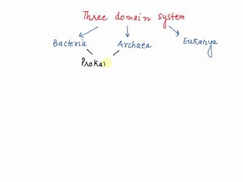 protozoans-are-eukaryotes-and-therefore-not-bacteria-67532
