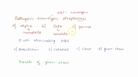 1-what-type-of-hemolysis-is-displayed-by-streptococci-that-are-most-pathogenic-to-humans-a-beta-b-gamma-c-alpha-2-which-test-eliminated-escherichia-as-a-possible-causative-agent-a-bacitracin-46062