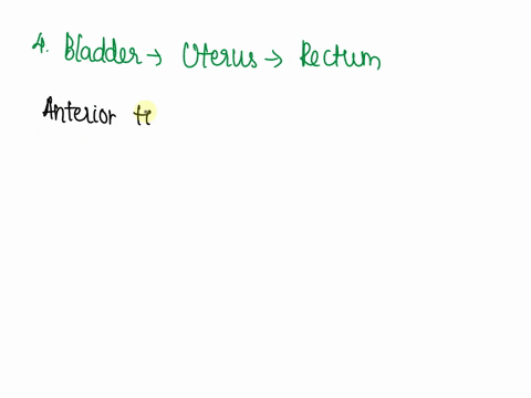 i-need-help-please-when-moving-from-anterior-to-posteriorhow-are-the-organs-in-the-pelvic-cavity-arranged-orectum-uterus-bladder-obladder-rectum-uterus-outerus-bladder-rectum-obladder-uterus-69748
