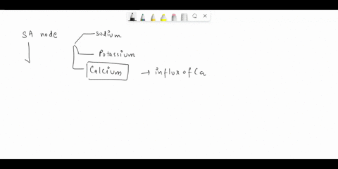 in-the-sa-sinoatrial-node-there-are-three-types-of-channels-voltage-gated-sodium-potassium-and-______________-channels-which-allow-the-influx-of-calcium-35863