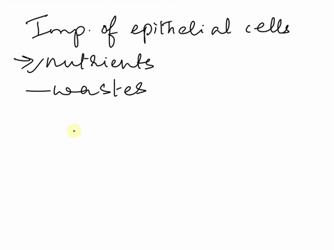how-do-epithelial-cells-obtain-their-nourishment-and-get-rid-of-their-waste-multiple-choice-through-the-blood-vessels-of-the-underlying-connective-tissue-by-a-combination-of-all-of-these-met-06946