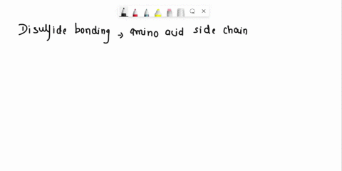 trudfakse-statemene-pleasc-detcrmine-if-the-aahatnacnig-false-diulfide-bonding-betwcen-amino-acid-sidc-chains-ithin-the-protein-sub-unil-considered-sccondany-stnuclute-hile-disulfide-bonding-03548