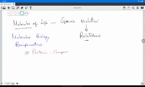 explain-how-molecules-can-demonstrate-relatedness-between-different-organisms