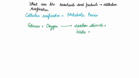 what-are-the-reactants-and-products-of-cellular-respiration-67223