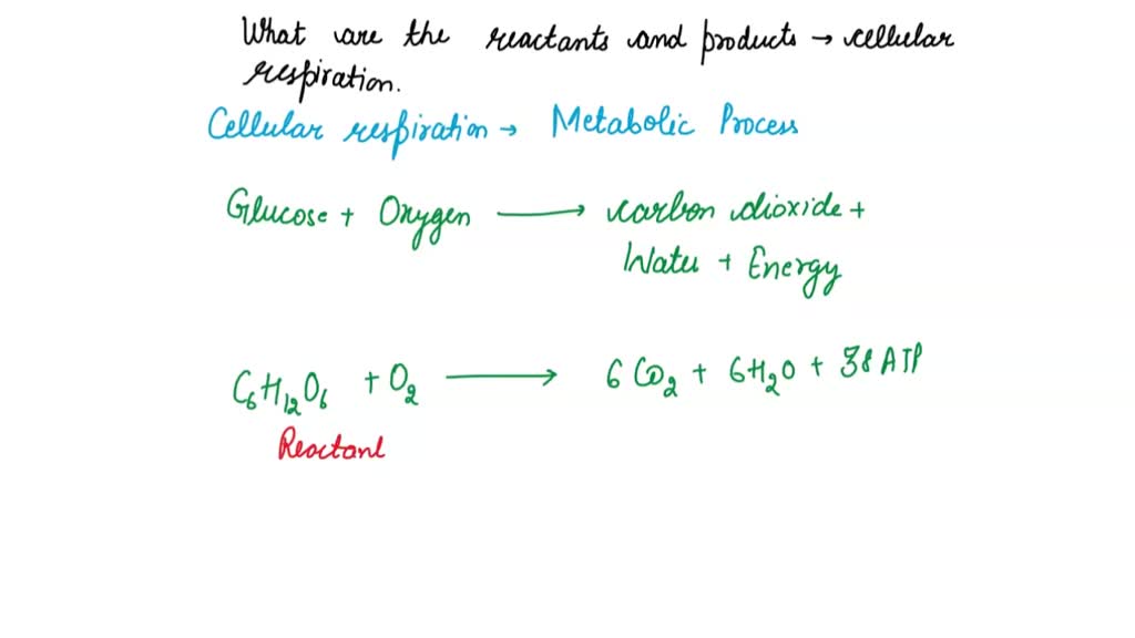 solved-in-a-chemical-process-of-cellular-respiration-what-is-are-the