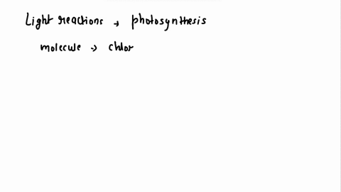 toropiast-and-photosynthesis-exercise-light-reactions-and-the-calvin-cycle-stroma-thylakoid-hzo-word-bank-atp-5-energ-adp-nadp-nadph-ig-7-label-the-molecules-in-their-correct-sequence-of-the-75682