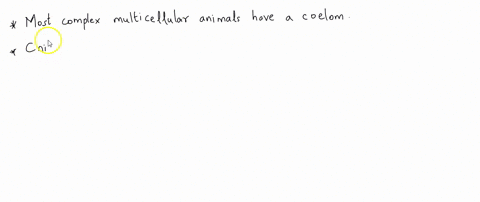 which-of-the-following-animal-groups-does-not-have-tissues-derived-from-mesoderm-a-annelids-b-echi-2-00042