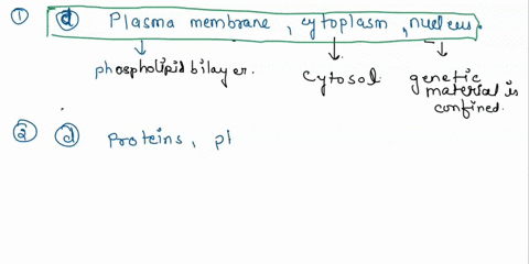 chapter-4-organization-siology-110-practice-exam-multiple-choice-completes-the-statement-or-answers-identify-the-choice-that-best-the-three-main-parts-of-a-eukaryotic-cell-what-are-plasma-me-29572