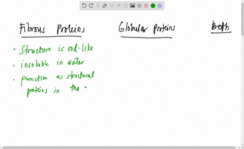 classify-the-words-or-phrases-as-descriptions-or-examples-of-fibrous-proteins-globular-proteins-or-both_-fibrous-proteins-globular-proteins-both-structure-is-rod-like-some-function-as-enzyme-96158