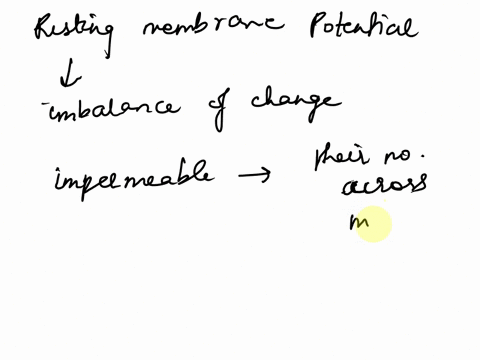 describe-what-the-resting-membrane-potential-of-a-cell-is-what-is-the-resting-membrane-potential-of-neurons-give-units-what-are-the-two-factors-that-generate-the-resting-membrane-potential-t-34694