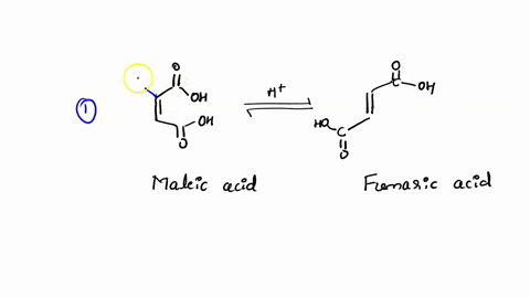draw the structures of maleic and fumaric acid and explain the ...