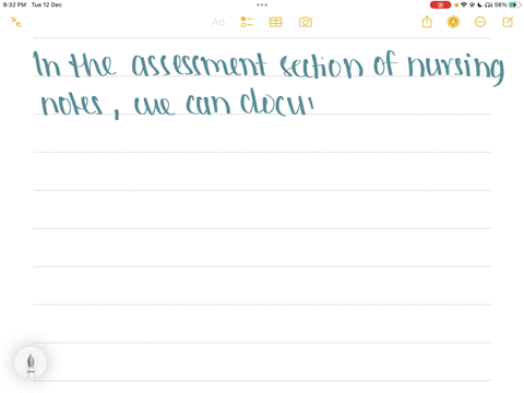 the-patient-reported-he-has-not-voided-for-4-hours-how-should-i-put-this-in-nursing-notes-in-a-statement-of-the-problem-section