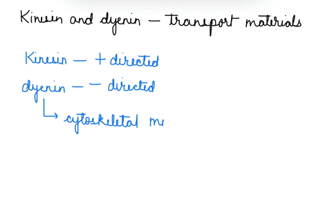 a-major-method-of-intracellular-transport-involves-motor-proteins-interacting-with-microtubules-inyour-ownwords-describe-how-kinesin-and-dynein-transport-materials-around-inside-cell-for-exa-24917