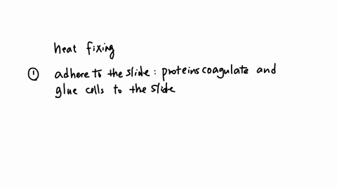 explain-why-it-is-necessary-to-prepare-heat-fixed-smears-before-staining