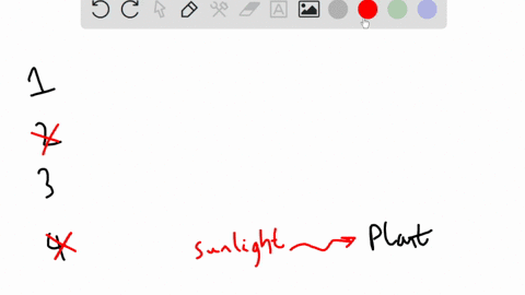 the-sequence-that-best-illustrates-the-flow-of-energy-through-an-ecosystem-is-1-sunlight-plant-wolf-rabbit-2-plant-sunlight-rabbit-wolf-3-sunlight-plant-rabbit-wolf-4-wolf-rabbit-plant-sunli-68711
