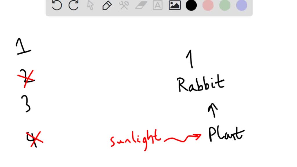 SOLVED: A food chain is represented below. grass → rabbit → hawk ...