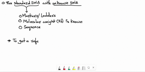 why-is-a-set-of-standards-with-known-size-run-on-a-gel-with-dna-samples-of-unknown-size-33483