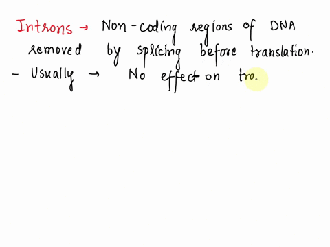 what-would-the-most-likely-result-of-a-large-mutation-in-the-intron-of-a-gene-what-if-any-effect-would-it-have-on-the-translated-protein-21833