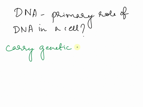 the-primary-function-of-dna-in-cell-to-16195