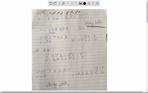 for-the-following-restriction-enzymes-a-xmal-cccggg-b-smal-cccggg-c-sdal-cctgcagg-d-pstl-ctgcag-i-what-is-the-length-and-nature-5-or-3-of-the-overhang-generated-by-each-restriction-enzyme-ii-97096