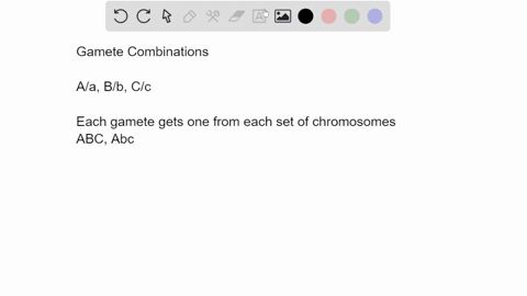 consider-three-pairs-of-homologous-chromosomes-with-centromere-labeled-aa-bb-cc-how-many-kinds-of-meiotic-products-can-this-individual-produce-78494