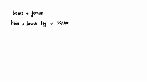 5-exercise-3-directional-terminology-q004-which-of-the-following-bones-is-not-distal-to-the-femur-tibia-sacrum-tarsals-metatarsals-fibula-65491
