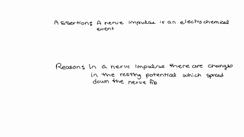 8-assertion-a-nerve-impulse-is-an-electrochemical-event-reason-in-a-nerve-impulse-there-are-changes-in-the-resting-potential-which-spread-down-the-nerve-fiber-51877