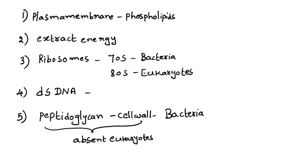 solved-question-32-all-living-organisms-including-both-bacteria-and