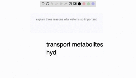 explain-three-reasons-why-water-is-so-important-38203
