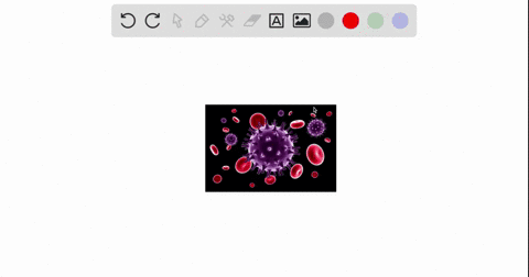 a-______-is-a-substance-containing-incomplete-portions-of-a-virus-that-produce-an-immune-response-when-injected-into-the-body-05667