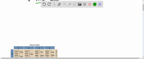 use-the-codon-chart-to-determine-the-peptide-that-will-be-translated-from-the-e-coli-mrna-shown-5-aug-gua-gcc-uac-cca-uag-acg-u-3-seond-iellar-uuu-pho-ucu-uau-tyr-ugu-cya-uuc-ucc-uac-ugc-ser-93027