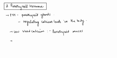 secretion-of-_________-stimulates-breakdown-of-bone-a-glucagon-b-melatonin-c-thyroid-hormone-d-parat-60057