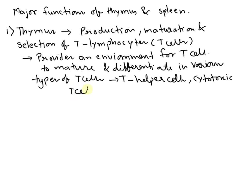 solved-what-are-the-major-functions-of-the-thymus-and-the-spleen