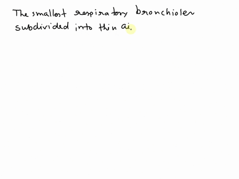 the-smallest-respiratory-bronchioles-subdivide-into-thin-airways-called-alveolar-sacs-alveolar-ducts-terminal-bronchioles-alveolar-pores-94544