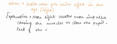 what-is-a-correct-observation-when-you-shine-a-light-on-your-patients-right-eye-group-of-answer-choices-both-are-correct-none-pupil-on-left-eye-constricts-pupil-on-right-eye-constricts-88346