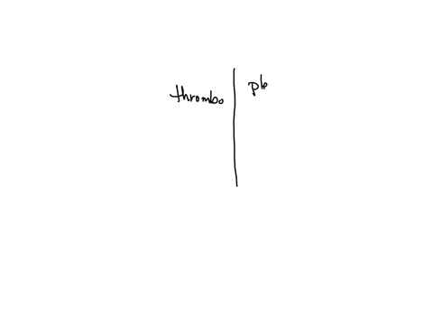 which-of-the-following-terms-describes-inflammation-causing-the-formation-of-blood-clots-within-the-vein-thrombophlebitis-thrombogenic-thrombolytic-thromboangiitis