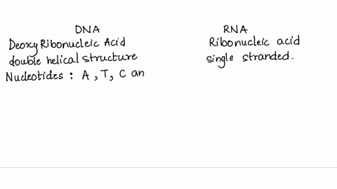 compare-and-contrast-the-structure-and-function-of-dna-and-rna-31258