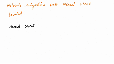 neural-crest-cells-that-migrate-along-the-ventral-or-dorsolateral-pathways-originate-from-the-same-location-within-the-neural-crescent-what-type-of-molecules-determines-the-migration-path-wh-04045