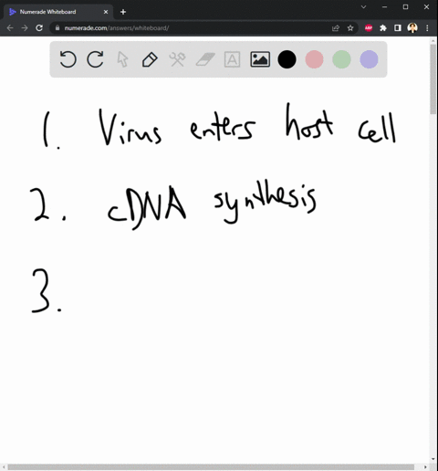 mrna-is-translated-into-hiv-proteins-viral-genes-are-transcribed-into-mrna-capsids-surround-the-new-viral-rna-genome-new-dna-serves-as-a-template-for-synthesis-of-a-complementary-dna-strand-52732