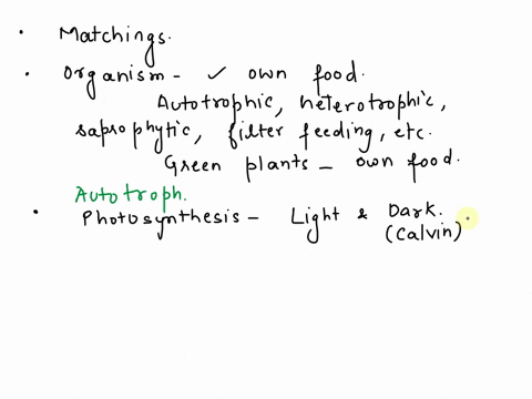 match-the-following-1-an-organism-that-can-make-its-own-food-calvin-cycle-2-the-dark-reaction-process-of-photosynthesis-that-uses-carbon-dioxide-for-the-synthesis-of-carbohydrates-chloroplas-63409