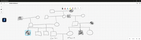 draw-a-pedigree-for-the-following-family-carlos-and-maria-are-married-and-have-3-normal-children-all-boys-they-are-expecting-a-4th-child-carlos-has-two-normal-brothers-and-an-affected-sister-31884