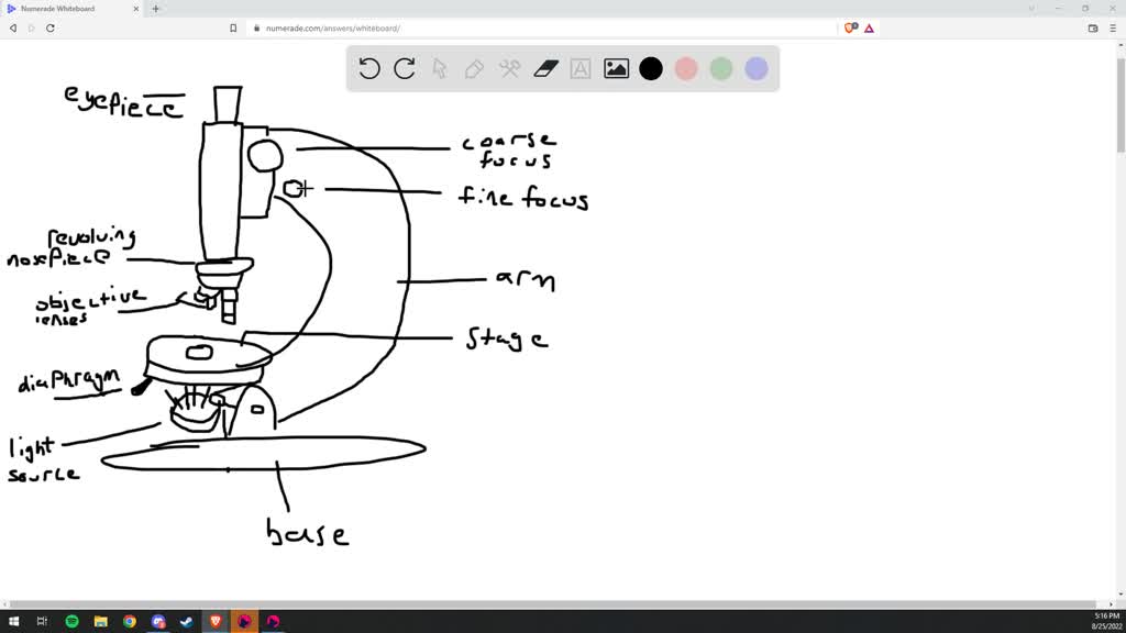 SOLVED Name and give the function of the basic parts of the compound