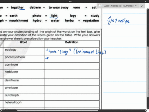 learning-task-1-ecorigin-based-on-your-understanding-of-the-origin-of-the-words-on-the-text-box-give-or-create-your-definition-of-the-words-given-on-the-table-write-your-answers-on-the-answe-65874