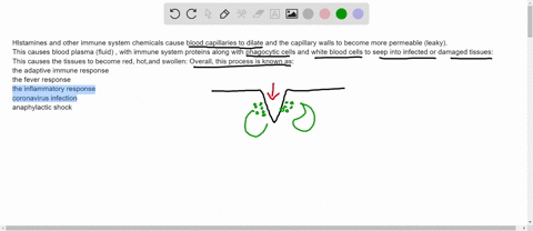 question-6-1pts-hlstamines-and-other-immune-system-chemicals-cause-blood-capillaries-to-dilate-and-the-capillary-walls-to-become-more-permeable-leaky-this-causes-blood-plasma-fluid-with-immu-20084