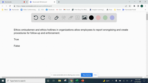 ethics-ombudsmen-and-ethics-hotlines-in-organizations-allow-employees-to-report-wrongdoing-and-create-procedures-for-follow-up-and-enforcementtrue-or-false-53899