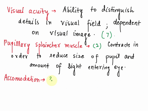 please-help-thank-you-visual-acuity-the-closest-distance-at-which-an-individual-is-still-able-to-focus-on-an-objectthe-near-pupillary-sphincter-muscle-point-of-accommodation-increases-with-a-11554